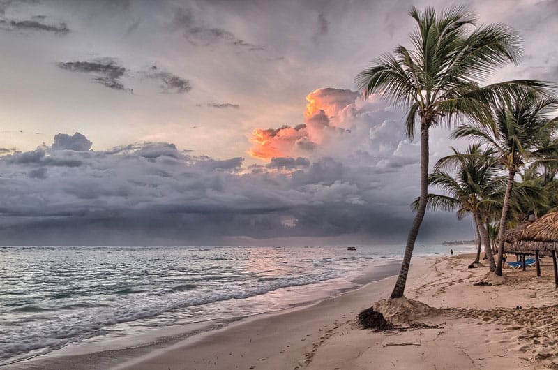 Servicios turísticos a través del móvil. Marketing en Turismo